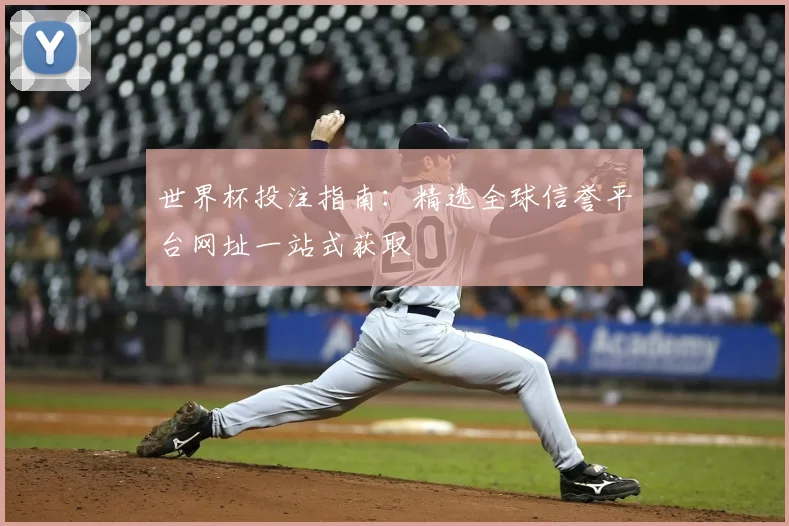 世界杯投注指南:精选全球信誉平台网址一站式获取