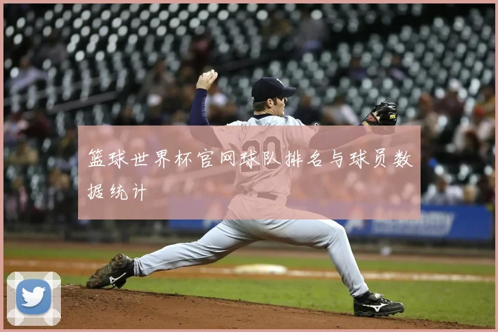 篮球世界杯官网球队排名与球员数据统计