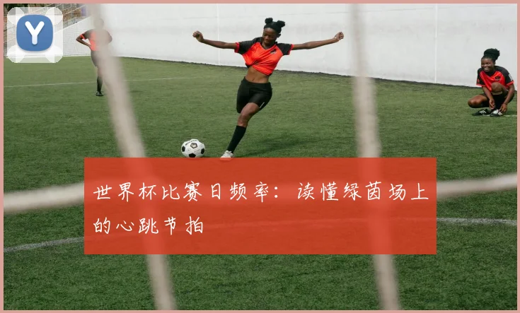 世界杯比赛日频率：读懂绿茵场上的心跳节拍