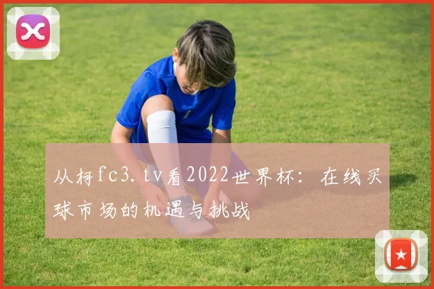 从柯fc3.tv看2022世界杯:在线买球市场的机遇与挑战