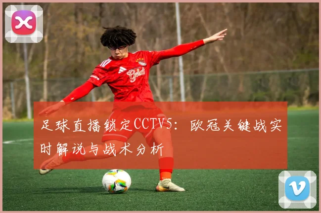 足球直播锁定CCTV5：欧冠关键战实时解说与战术分析