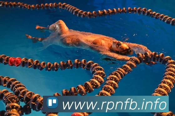 九游官网在线入口品牌故事